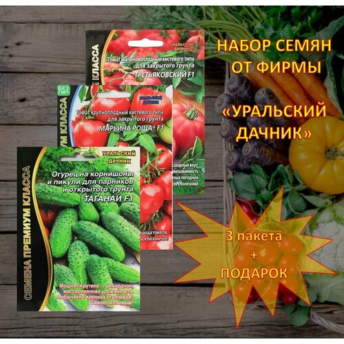 ���������� ����� ����� �� 3�� �� ����� 