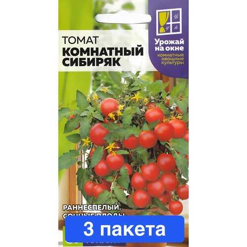 ���������� ������ ������ ������ ����� 