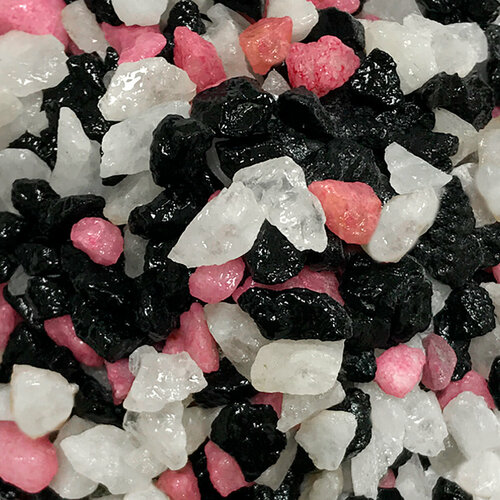 ���������� ����������� ����� ��� ��������, ����������� � ��������, Zoo One, ��������� ��������, 