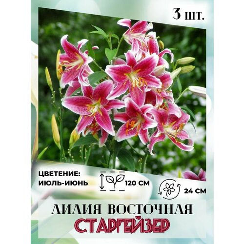 ���������� ����� ��������� ���� ������, �������� 3 �����