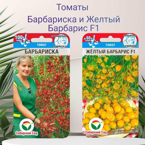 ���������� ����� ����� ���������� � ����� ������ �������� F1