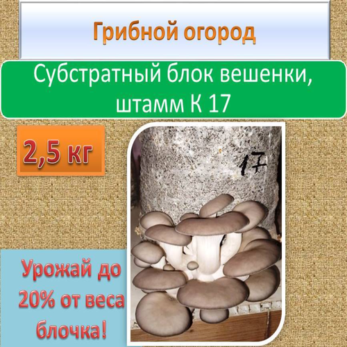 ���������� ����������� ���� ������� ��� ������� ������ ����� 2,5 ��, ����� 