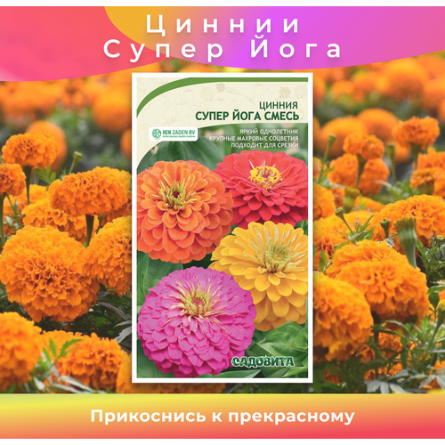 ���������� ������ 