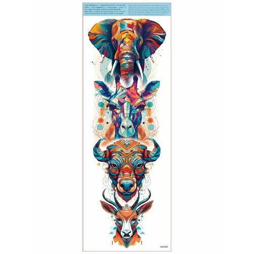 ���������� ���������� ��������� ���� ����� �� �������� / 45 � 17 �� ����