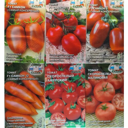 ���������� ����� �� 6 ����� ����� ����� ������ ������� ����� ���������� � ����������� �� �����