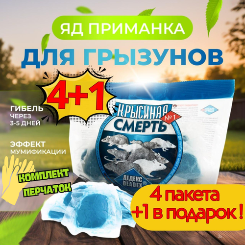 ���������� 5�� �������� ������ �1 - ������ ��� ����, ������ ��� ����� ����� ����������� ������� �������� �� (1000 �����)