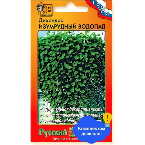 ���������� ����� �������� ���������� ������� F1