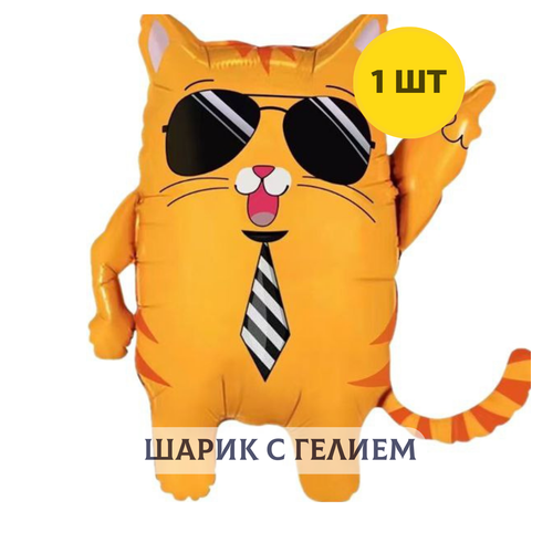���������� ��������� ��� � ������ ������ ���