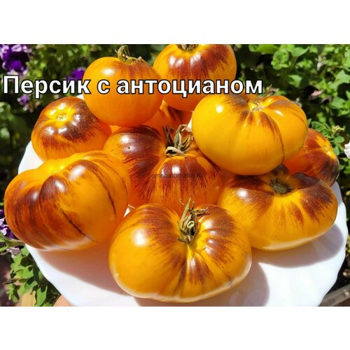 ���������� ������������� ������ ������ ������ � ����������