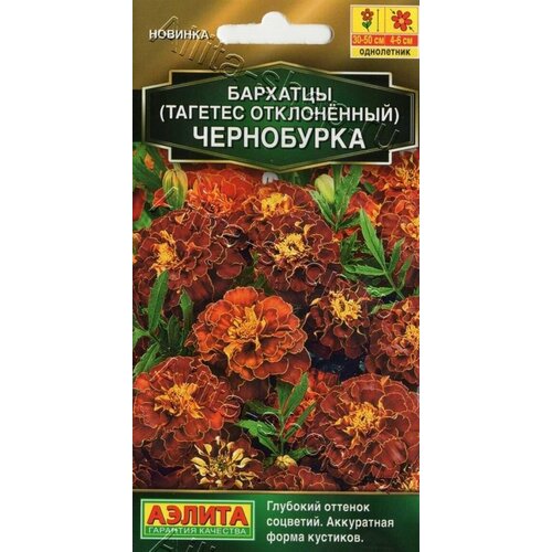 ���������� �������� ���������� �����������