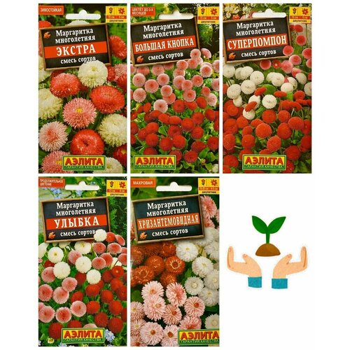 ���������� ������ ����������� ������ ��� ���� ���������� ����� ������, ����� 5 ��.