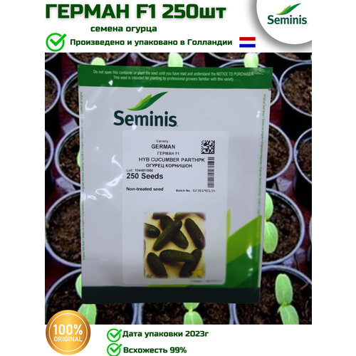  F1 -  , 250  Seminis/ ()   , -, 