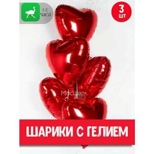 ���������� ��������� ���� � ������ ������� 