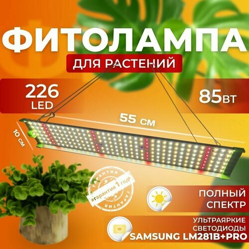       ,   ,    , 85  226 LED   , -, 