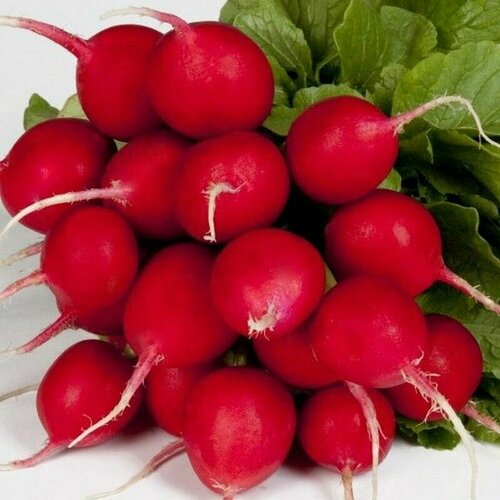 ���������� ����� �������, ����� ������ ��������� ���� �� ��������� ���������, ��� ������������ ����������� �������������, ���� �����������, 130 �����