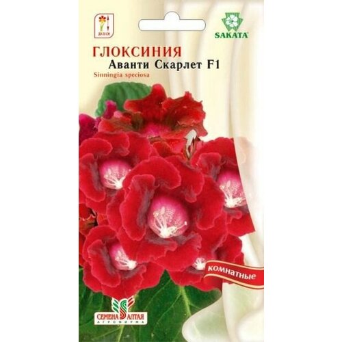 ���������� ������ ��������� 