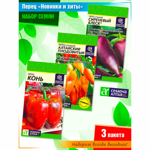 ���������� ����� ����� �������� ����� 