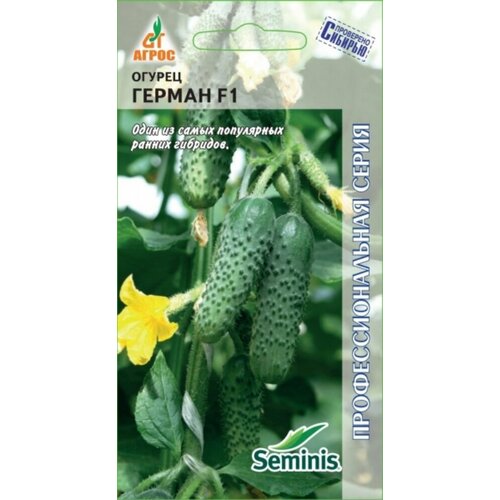 ���������� ������ ������ ������ F1 8�� ������������������ ������ (�����)