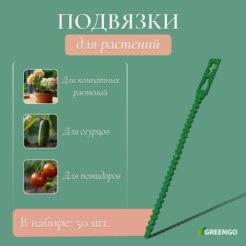���������� �������� ��� ��������, ����� 9 ��, ����� 50 ��, Greengo
