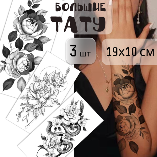 ���������� ����� ������� ���������� ���� 3 ����� (19�10 ��). ���������