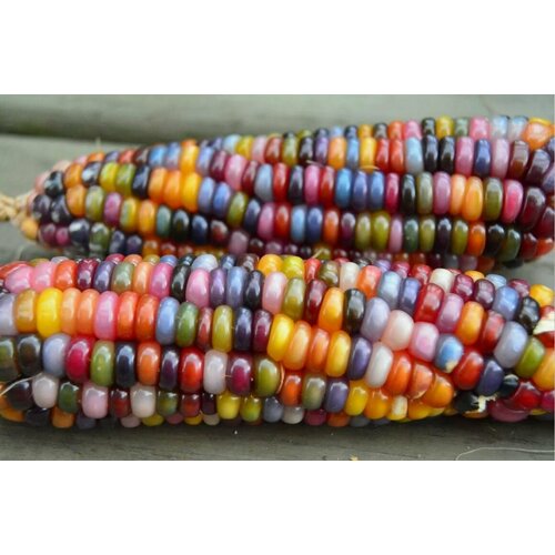 ���������� ������ �������� ���������� ����������� ������ (Glass Gem) / Seeds And Goods / � �������� zip-lock ��� ���������� 10 �����