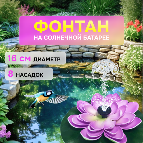 ���������� ������� ������ �� ��������� �������� ��������� ������� ������������ ��� ����� ���� ���� � �������