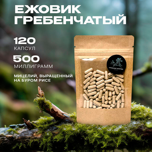 ���������� ������ ����������� (������) � �������� 120 �� / ���� �� ����� / ��������� ������� / ����� �����