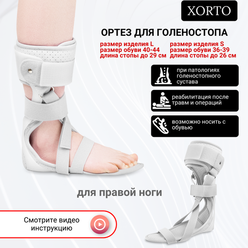 ���������� ����� �� ������������� ������, ������ ����������������� ��� �����������, ������������� ����� ��������������, ������������ ����� ����� � ��������