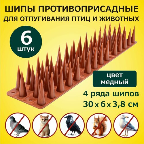 ���������� ���� ���������������� ��� ������ �� ���� � �������� 300�60�38 �� �������� 6 ������, �������, ��� ������