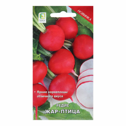 ���������� ������ ����� 