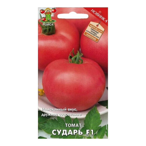 ���������� ������ ����� ������ F1 12�� ����� ������ (�����)