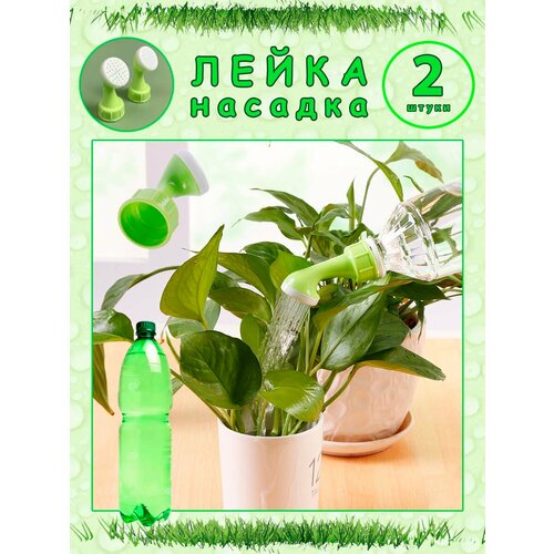 ���������� �����-������� �� ������� ��� ��������� � ������� ��������, 2 ��.