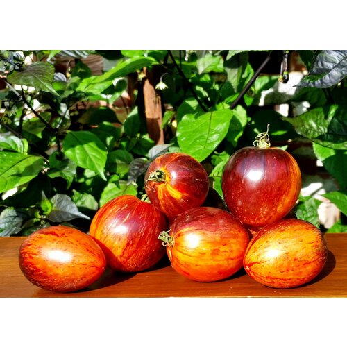 ���������� ������ ������ ��������� (Gargamel) / Seeds And Goods / � �������� zip-lock ��� ���������� 10 �����