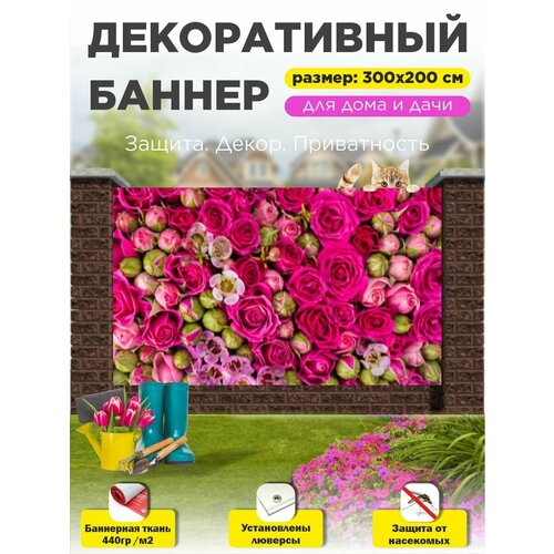 ���������� ��������� ������ �� ����� 300 �� � 200 �� � ���������