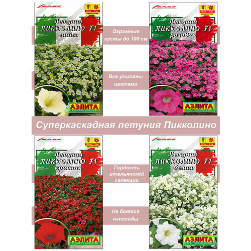 ���������� ������ ������ ������� �������� �������������� �������������� ���������