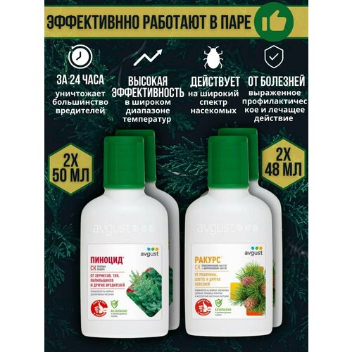 ���������� �������� �� �������� � ���������� ������� �������� ������ 48 �� + ������� 50 ��, ����� 4 ��