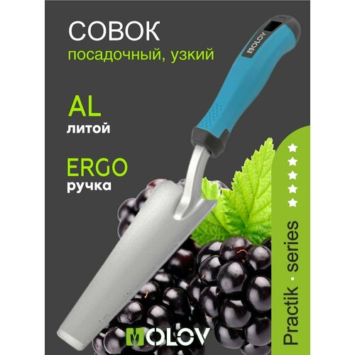 ���������� ����� ������� `OLOV �������` �������������, ����������, �����