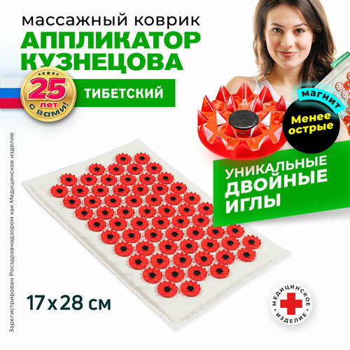 ���������� ����������� ��������� ��������� ������ ��������� ���������� ��������� �� ������ �������� ��09  (����� ������ ����, ��������� �������) 28x17x10  ��, �������