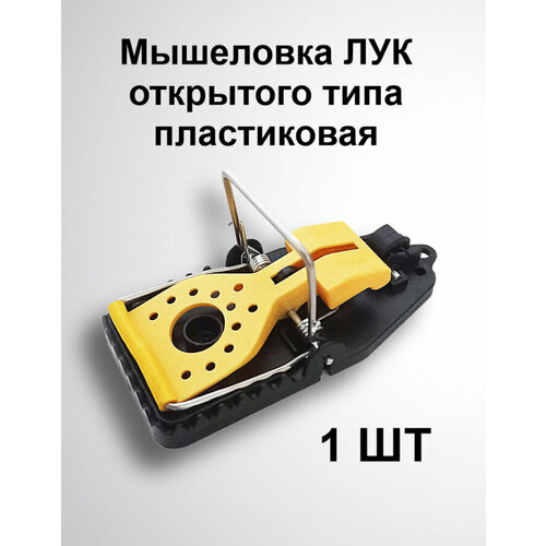 ���������� ��������� ��������� ����(�����������)/������� ��� ��������