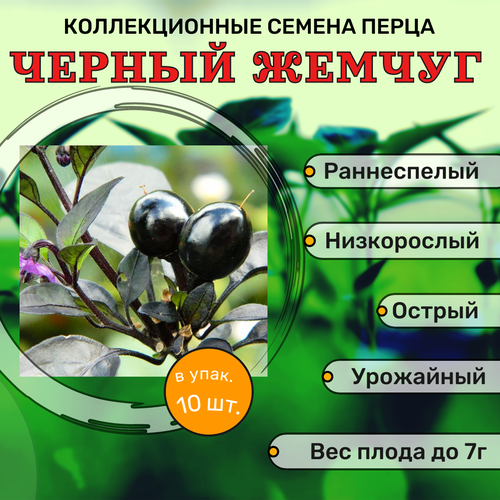 ���������� ������������� ������ ����� ������� F1 ������ ������