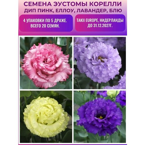 ���������� ������� (���������) �������� ������� 4 �������� �� 5 �����: ��� ����, �����, ��������, ���