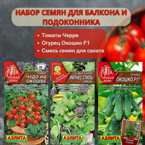 ���������� ������ ����� ��� ������� � ����������� , ������, ������ � ������