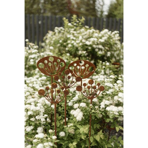 ���������� ������� ����� ����� �������