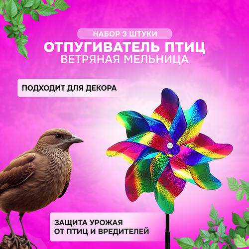 ���������� ������� ������ ������������ ��� ���� ��� ���� / �������� �������� ��� ���� - ����� 3 �����