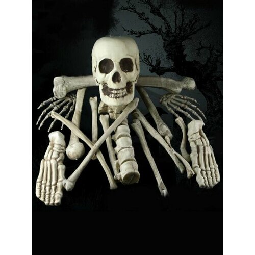 ���������� ����� ������� �� �������� ��������� ����� ������