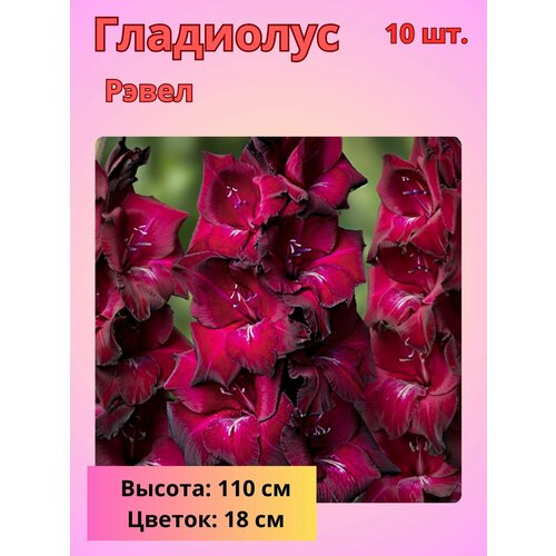 ���������� ��������� ��������������� �����, �������� ����������