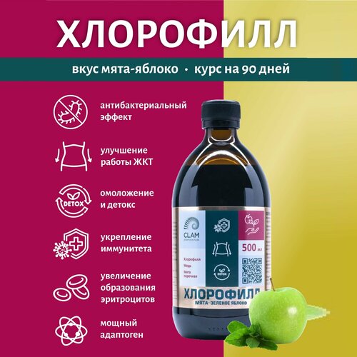 ���������� ������ ������� ��������� ������ ������� ��� ��������� � ����������, 500 ��. (���) �� ������ ����-������� ������. 100 ������. ClamPharm