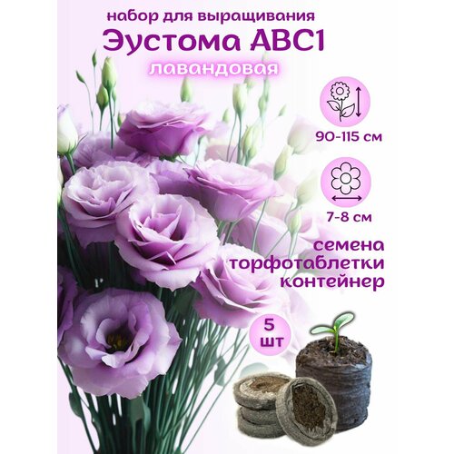 ���������� ������ ������� ������������ ���������� + �������� �������� Jiffy, 5��, ����� ��� �����������