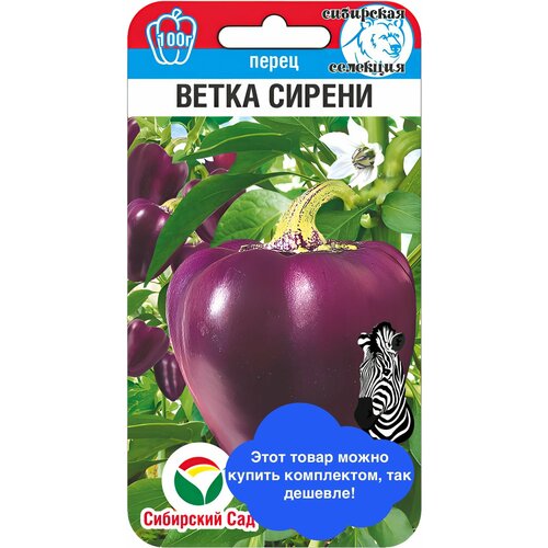 ���������� ������ ������ ��������� ��� 