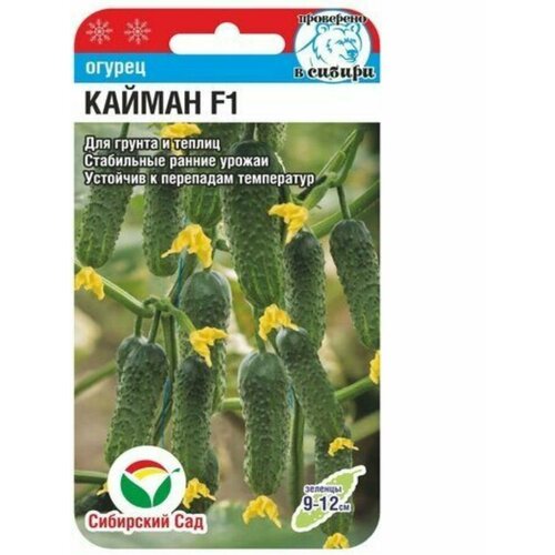 ���������� ������ ������� ������ (1 ����� -7 �����)